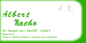 albert macho business card